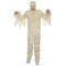 Adult Mummy Costume for Classic Halloween Monster Dress Up for Men